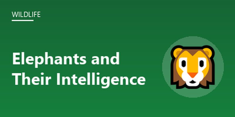 Elephants and Their Intelligence