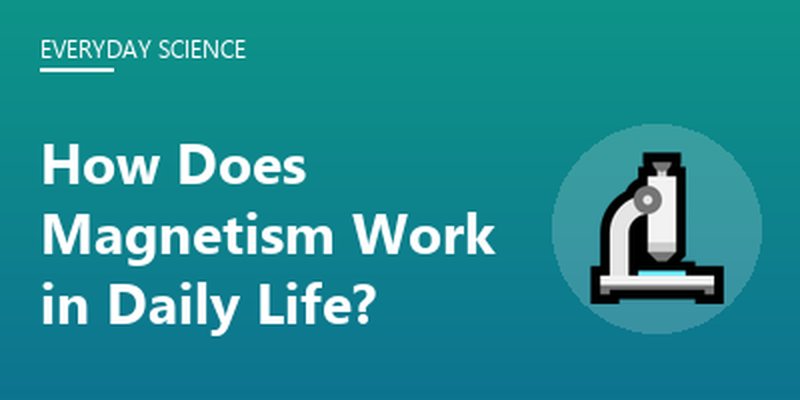 How Does Magnetism Work in Daily Life?