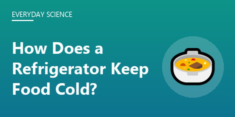 How Does a Refrigerator Keep Food Cold?