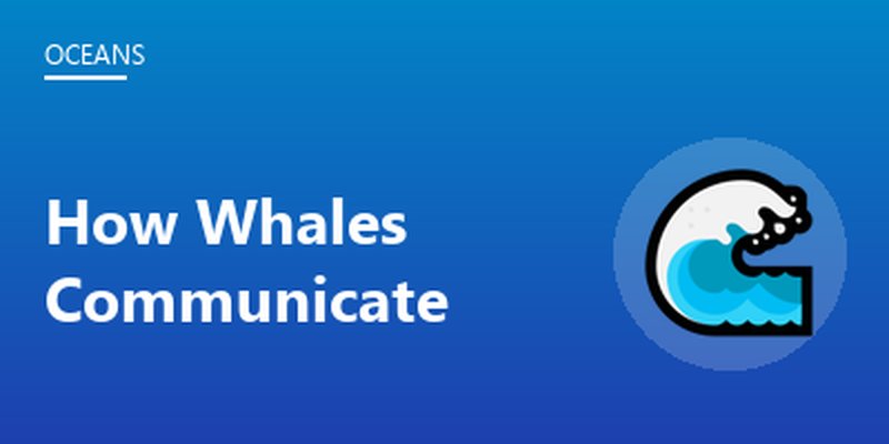 How Whales Communicate
