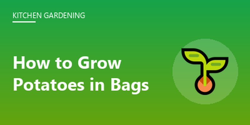 How to Grow Potatoes in Bags