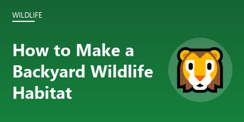 How to Make a Backyard Wildlife Habitat